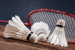 badminton-sport-thumbnail-600x400.jpg